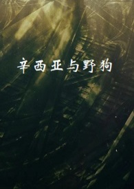 野狗骨头txt下载